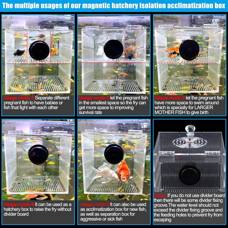 NestBasics Magnetic Fish Breeder Box for Isolation Boxes Acclimation Hatchery breeding Incubator for Guppy Baby Betta Shrimp Saltwater Clownfish Coral Anemones Aggressive or Injured Fishes - Image 5